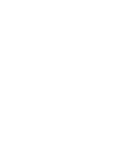 Digital Partners logo